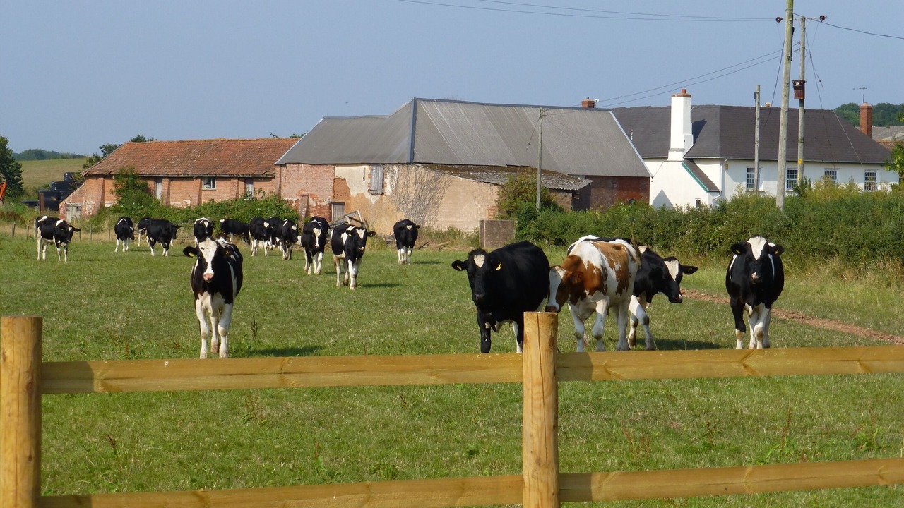Photo of Others in Clyst Saint George