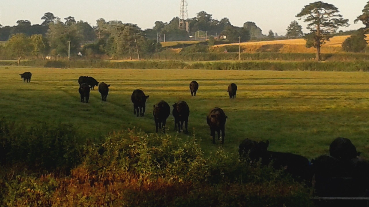 Photo of Others in Clyst Saint George