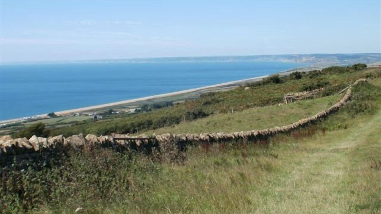 Photo of Others in Abbotsbury