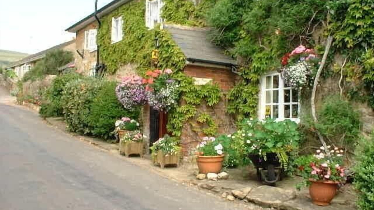 Photo of Outdoor in Abbotsbury