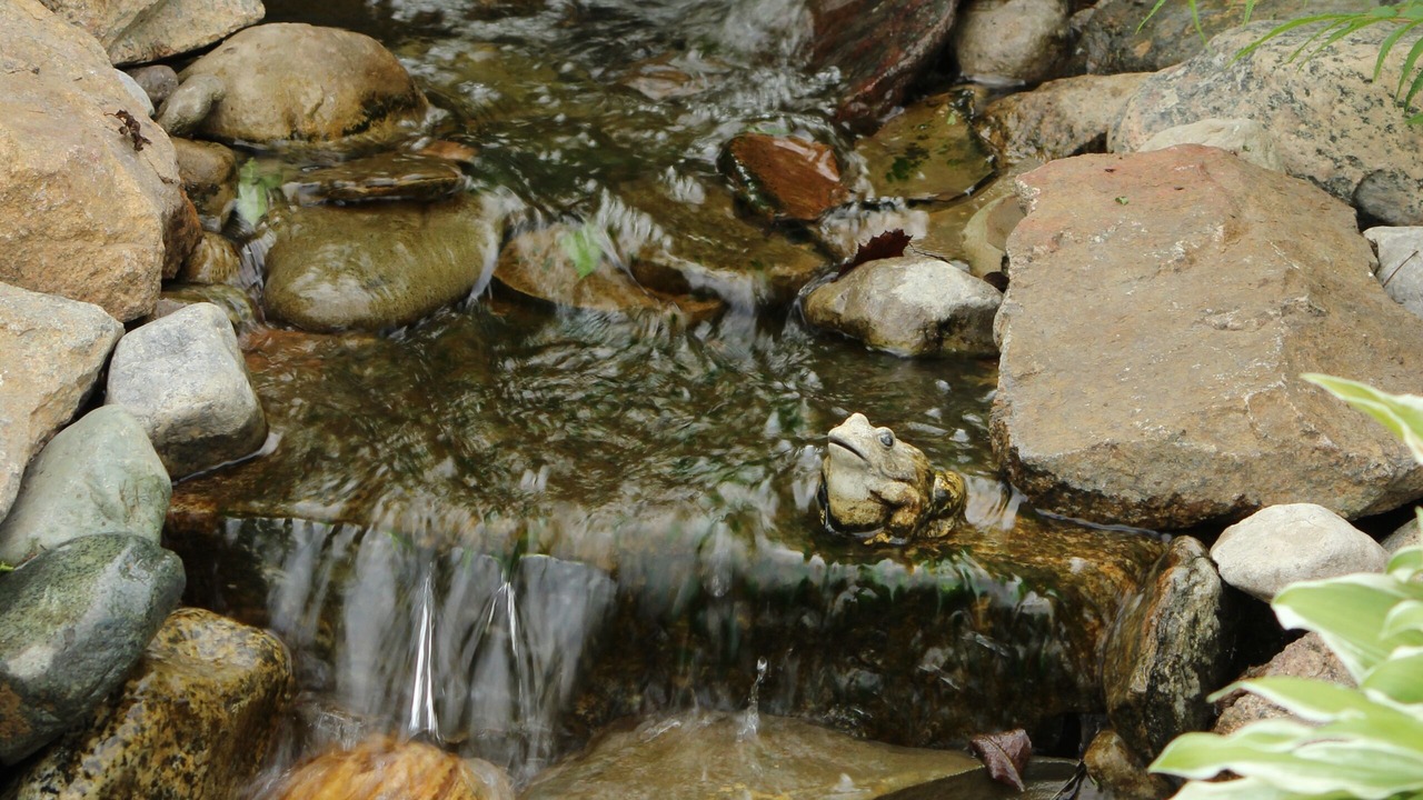 Photo of Outdoor in Normandin