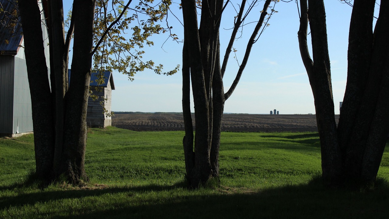 Photo of Outdoor in Normandin
