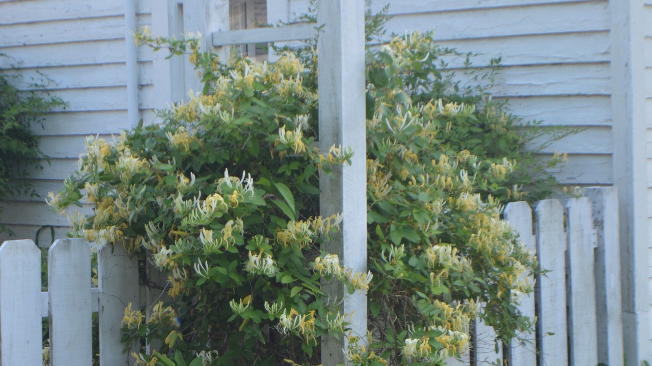 Photo of Outdoor in Bonham