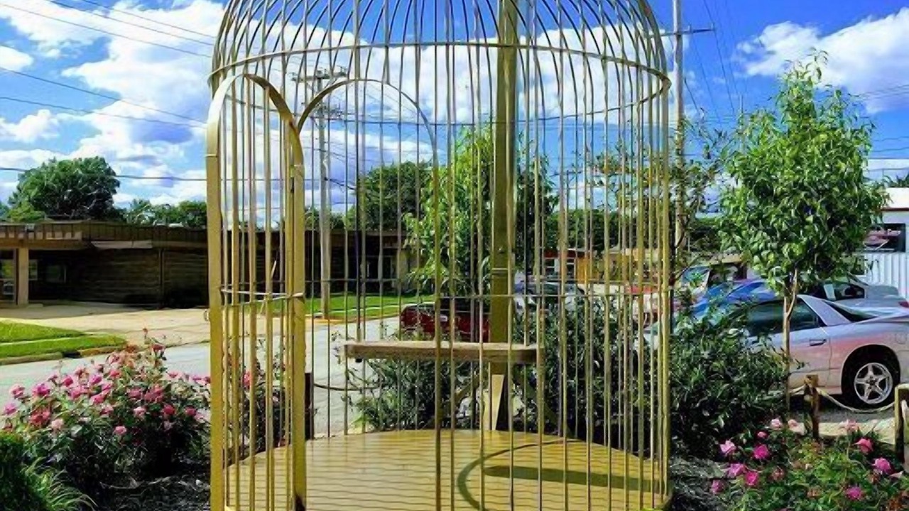 Photo of Others in Casey