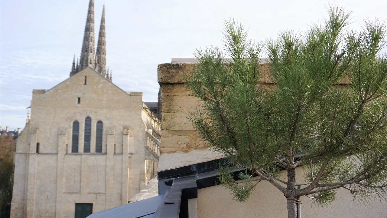 Photo of Outdoor in Bordeaux City Centre