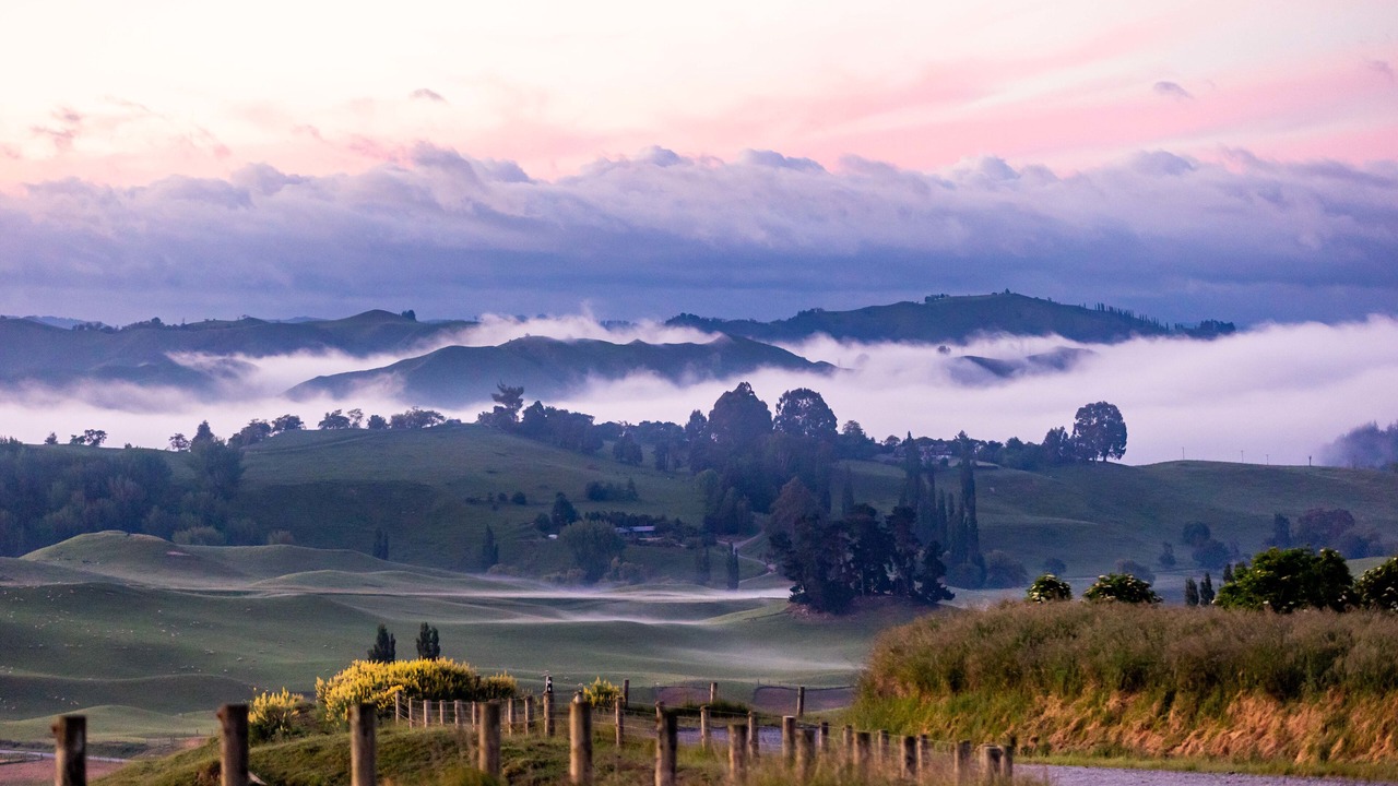 Photo of Others in Taihape