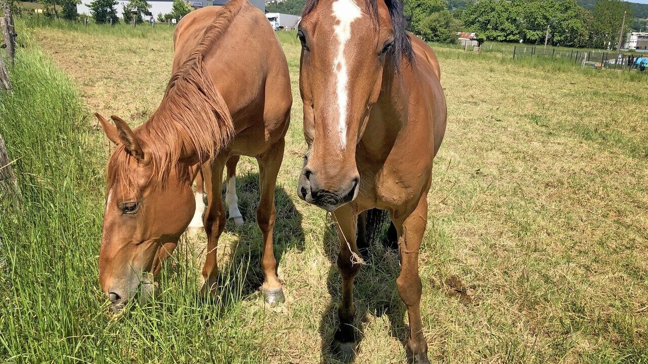 Photo of Outdoor in Romagny-Fontenay