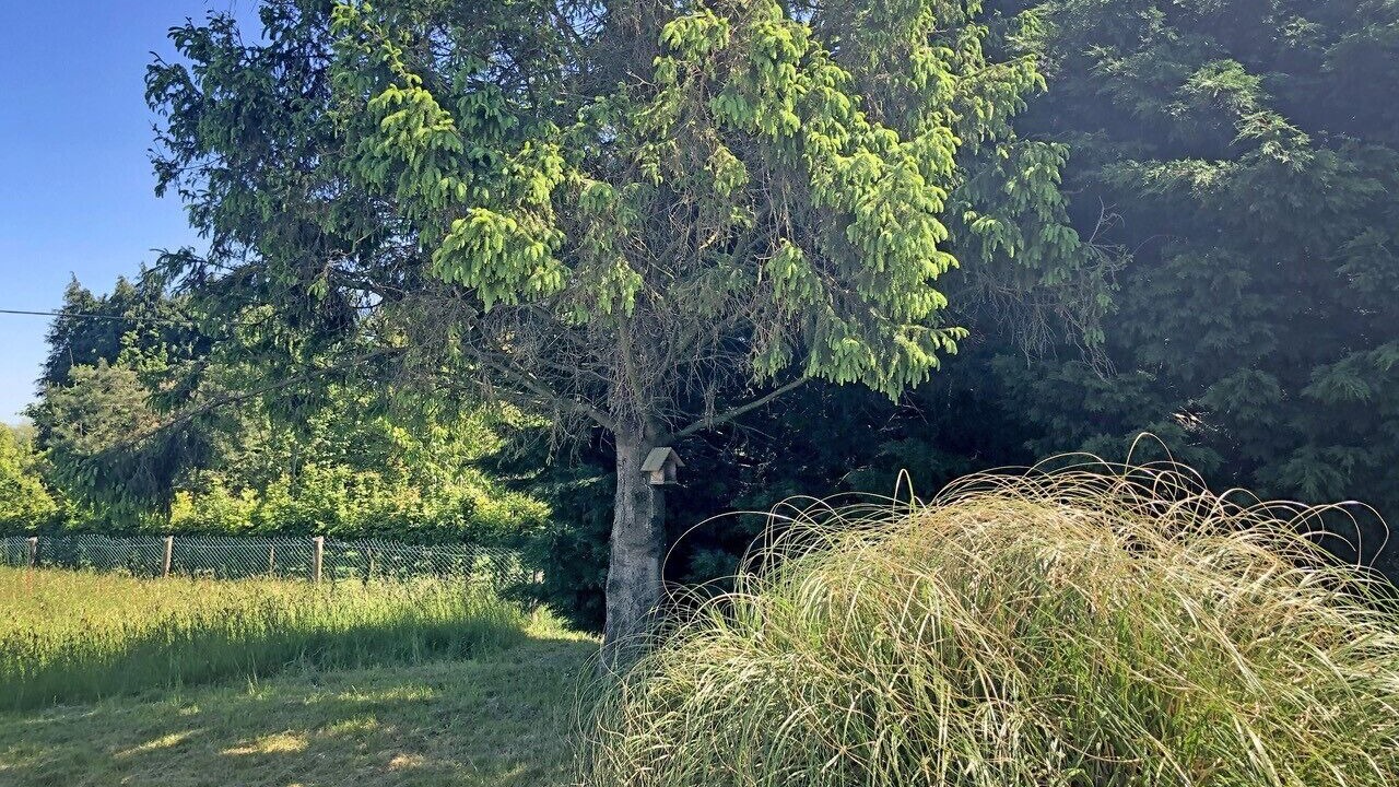 Photo of Outdoor in Romagny-Fontenay