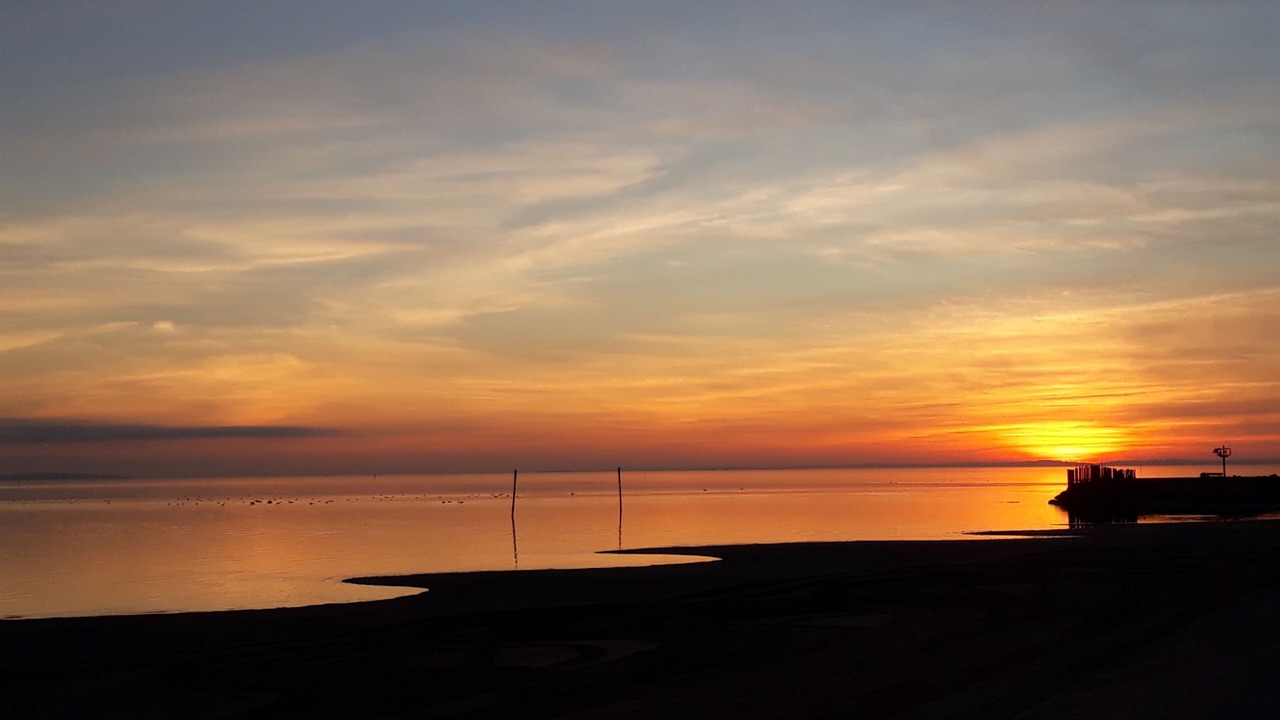 Photo of Others in Taussat