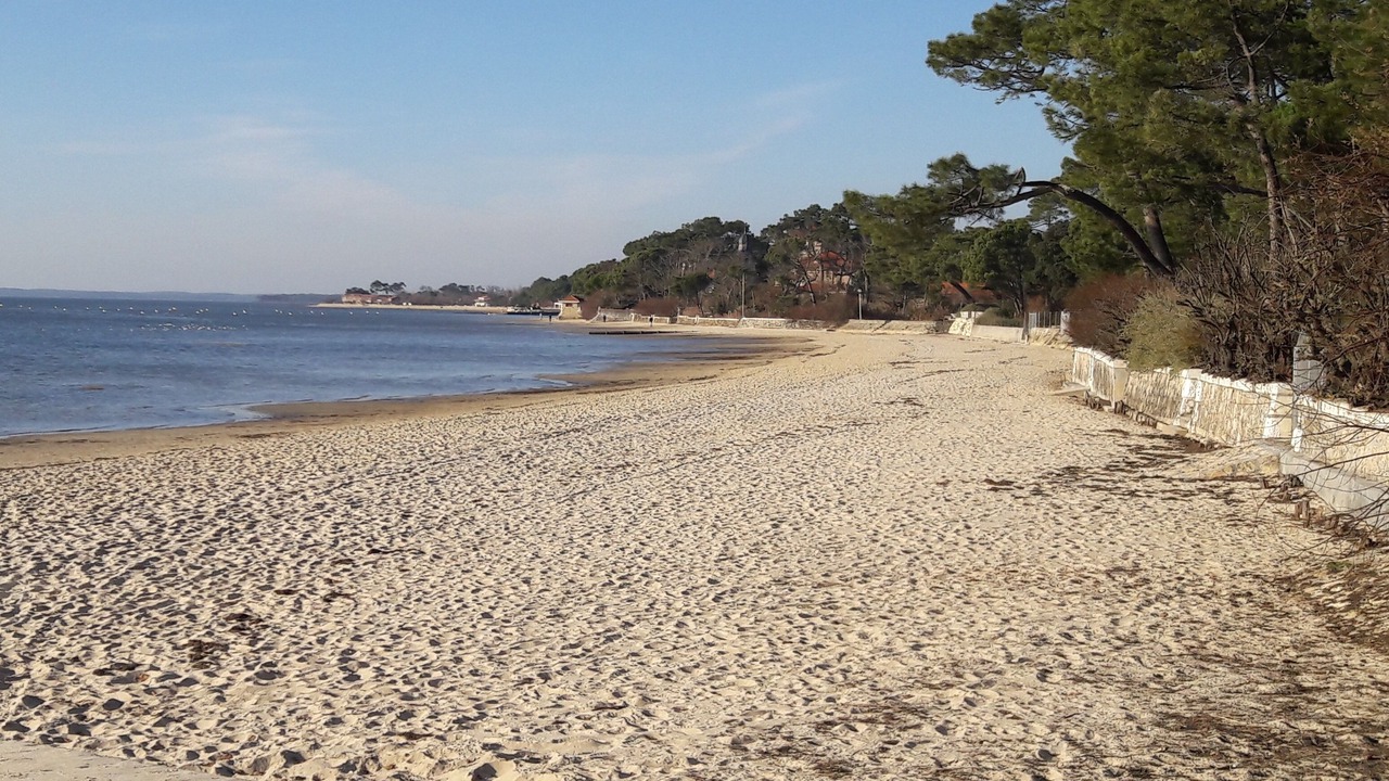 Photo of Others in Taussat