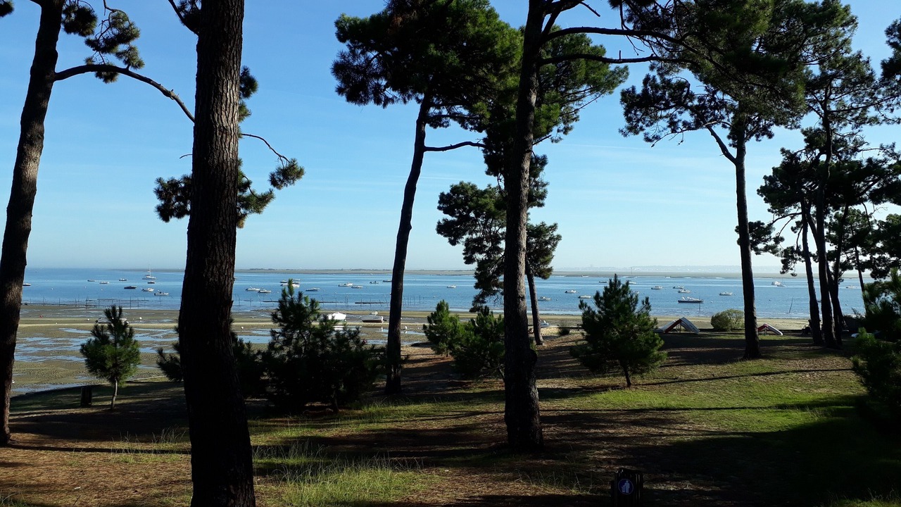 Photo of Others in Taussat