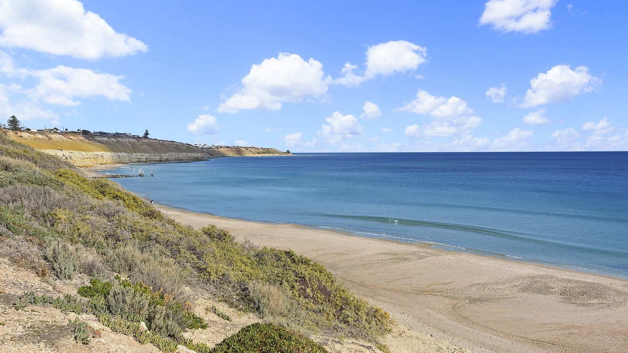 Photo of Others in Port Willunga