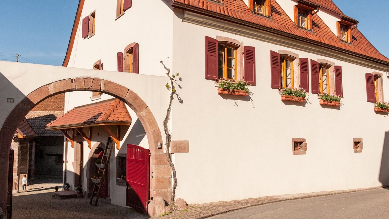 Photo of Outdoor in Pfaffenheim