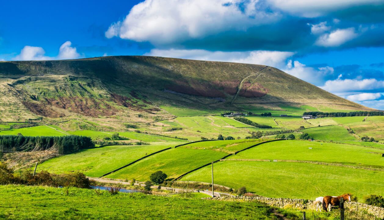Photo of Others in Fence
