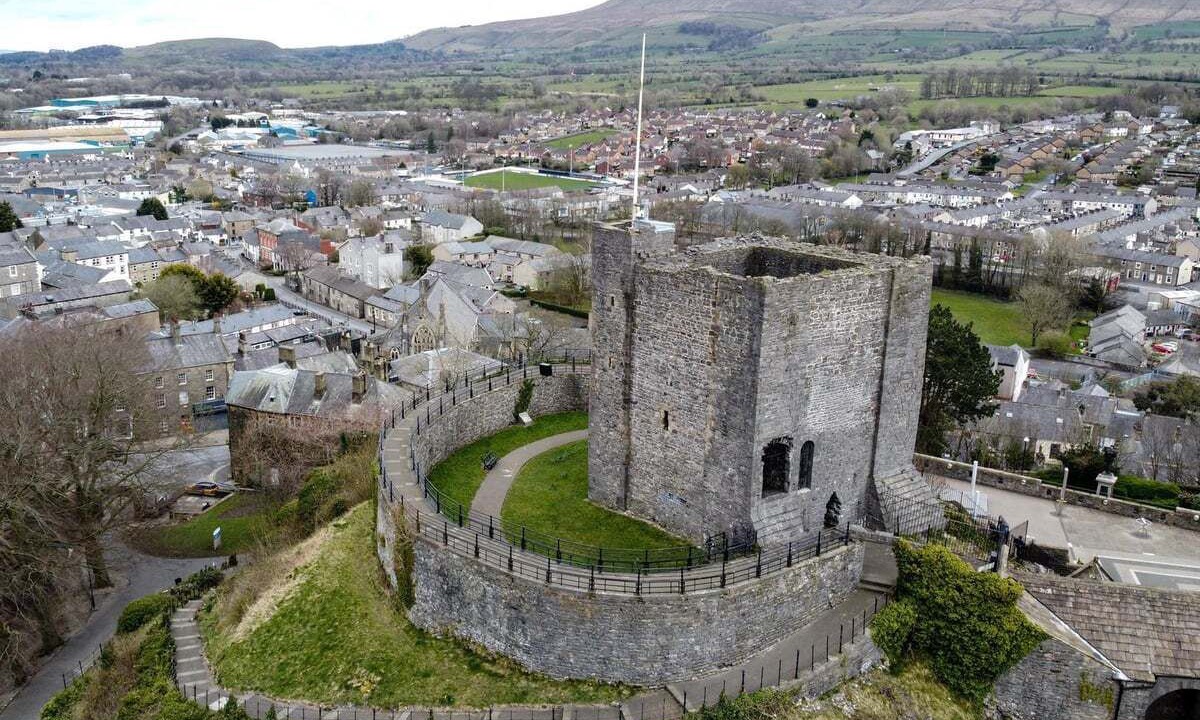 Photo of Others in Fence