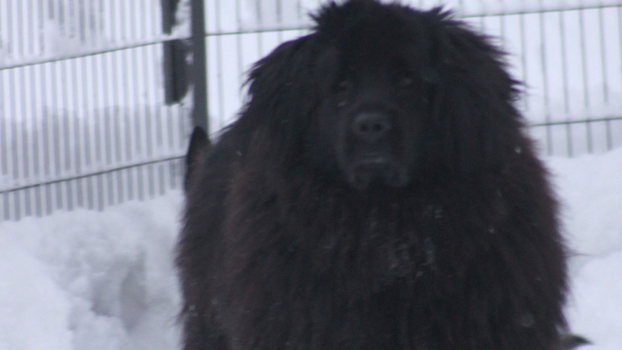 Photo of Others in Vertolaye