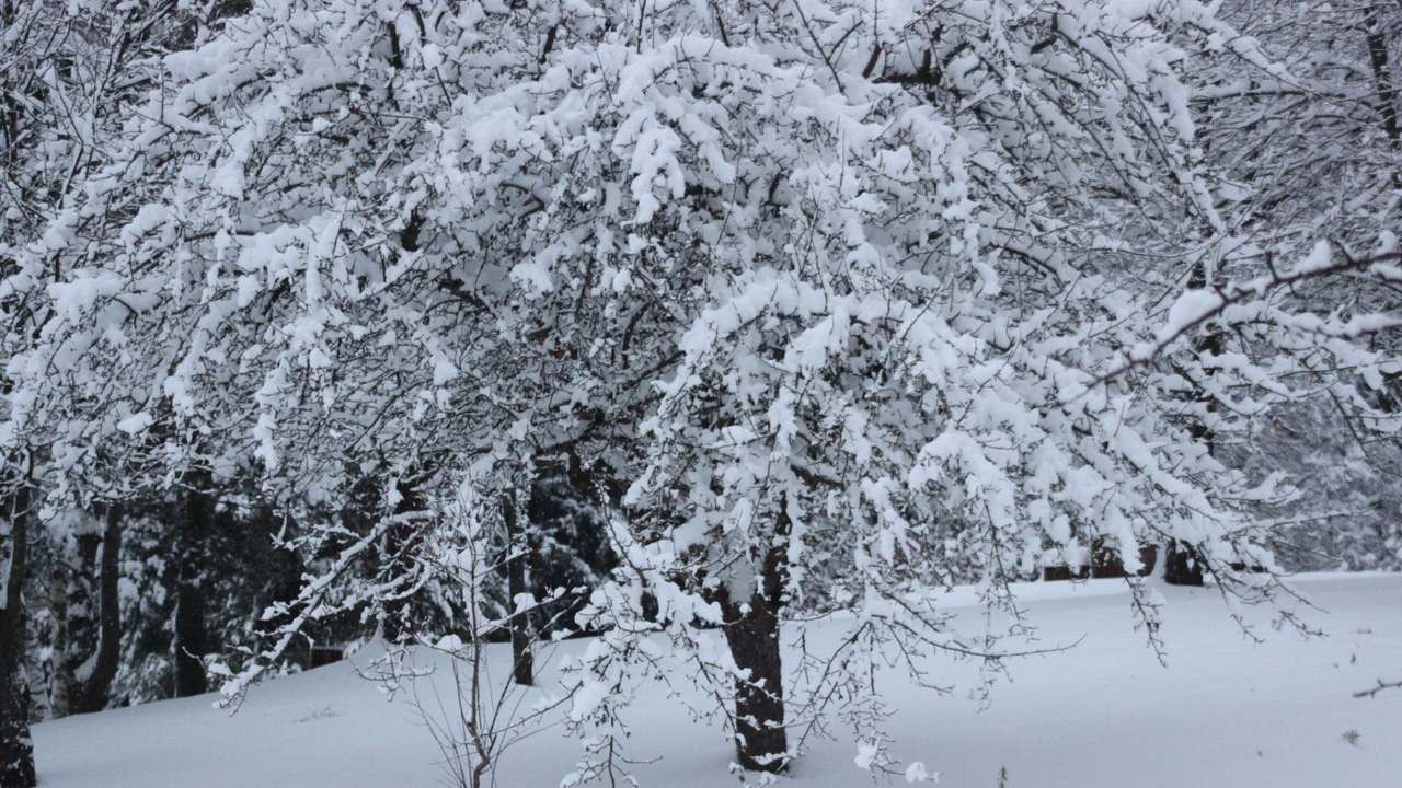 Photo of Others in Vertolaye