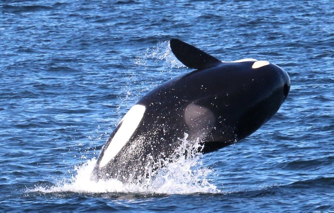 Photo of Others in Clinton