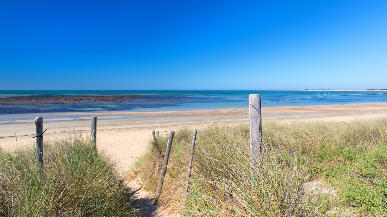 Photo of Others in Le Bois-Plage-en-Re