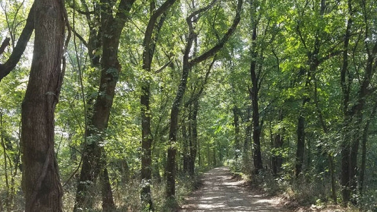 Photo of Outdoor in Harrison