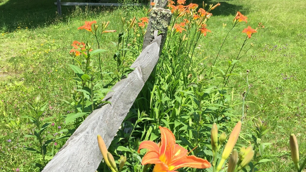 Photo of Outdoor in Tannersville