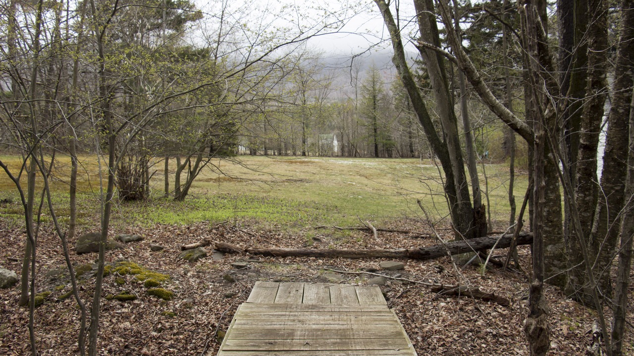 Photo of Outdoor in Tannersville