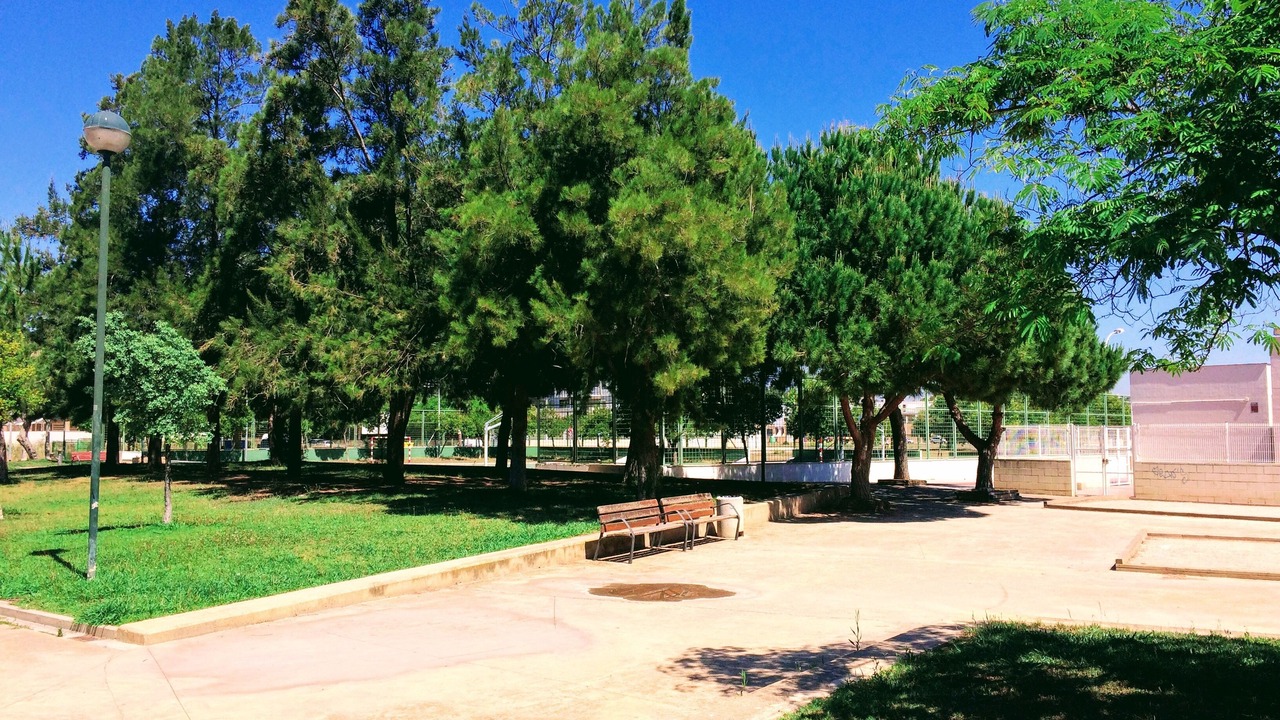 Photo of Outdoor in Playa Pobla de Farnals