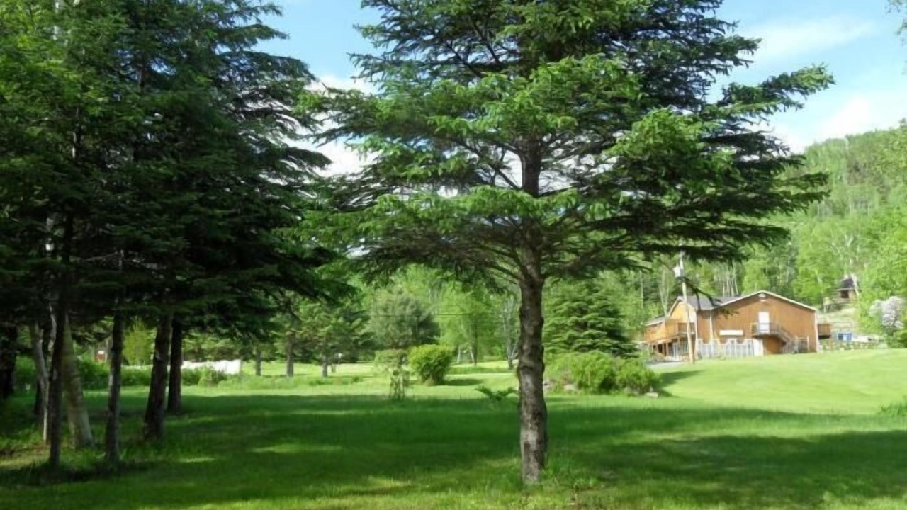 Photo of Others in Saint Aime Des Lacs