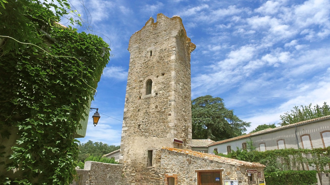 Photo of Outdoor in Saissac