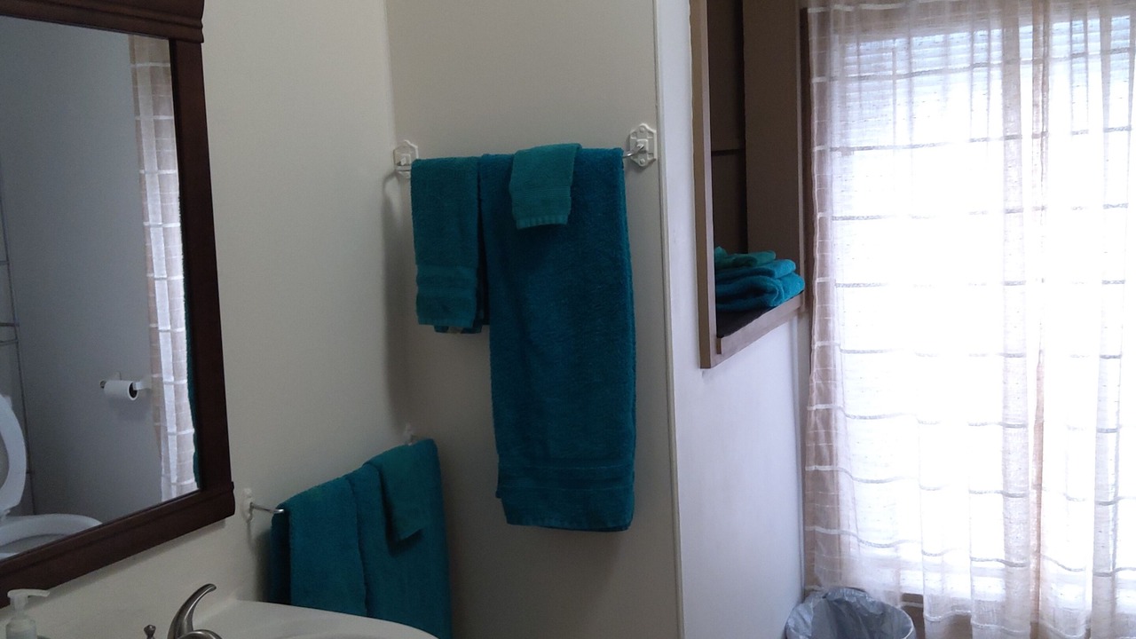 Photo of Bathroom in Tiona