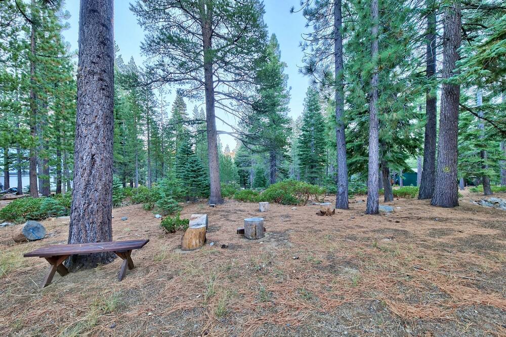 Photo of Others in North Upper Truckee