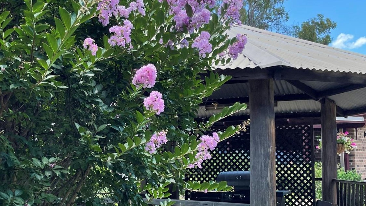Photo of Patio Balcony in Crows Nest