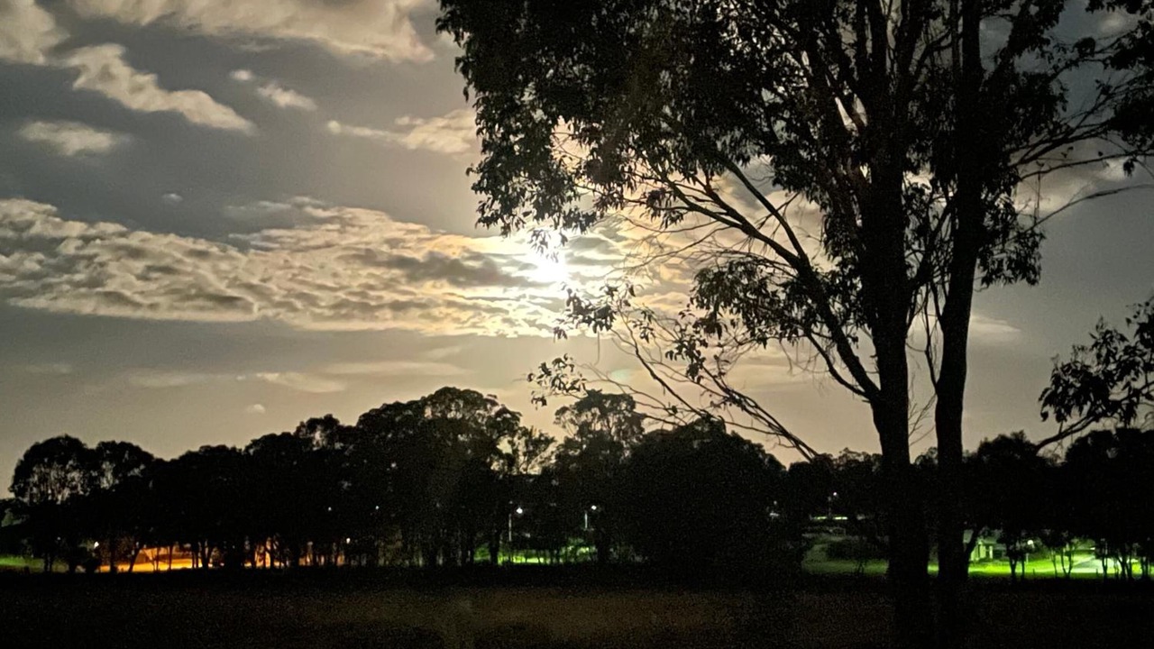Photo of Buildings in Crows Nest