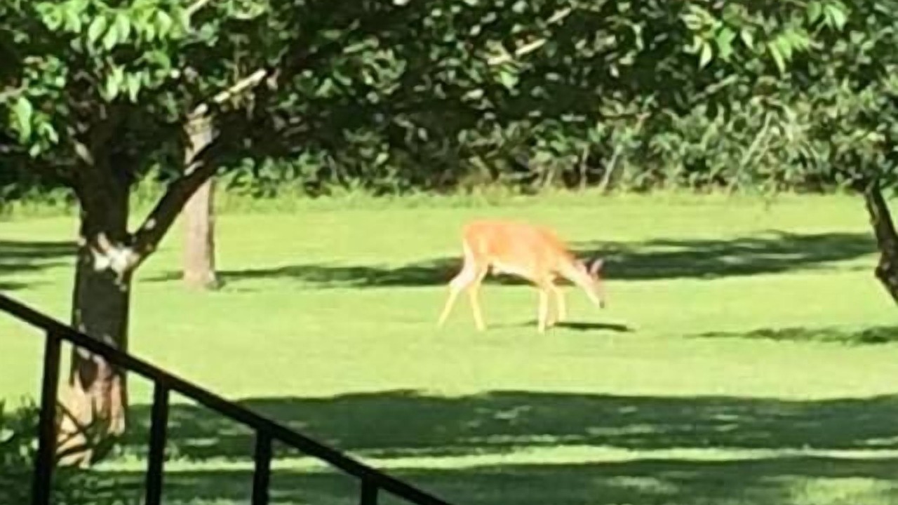 Photo of Outdoor in Russellville