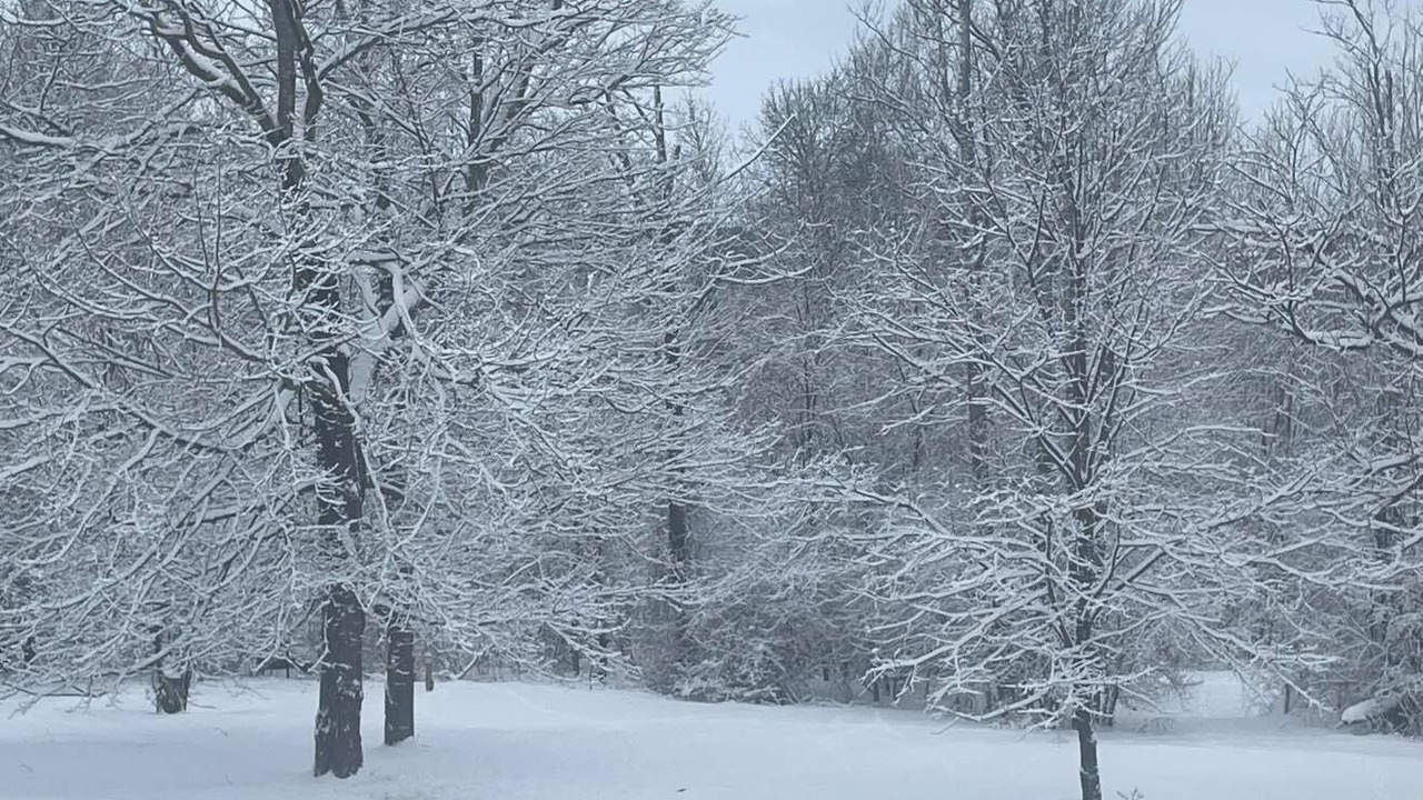 Photo of Others in St. Albans Historic District