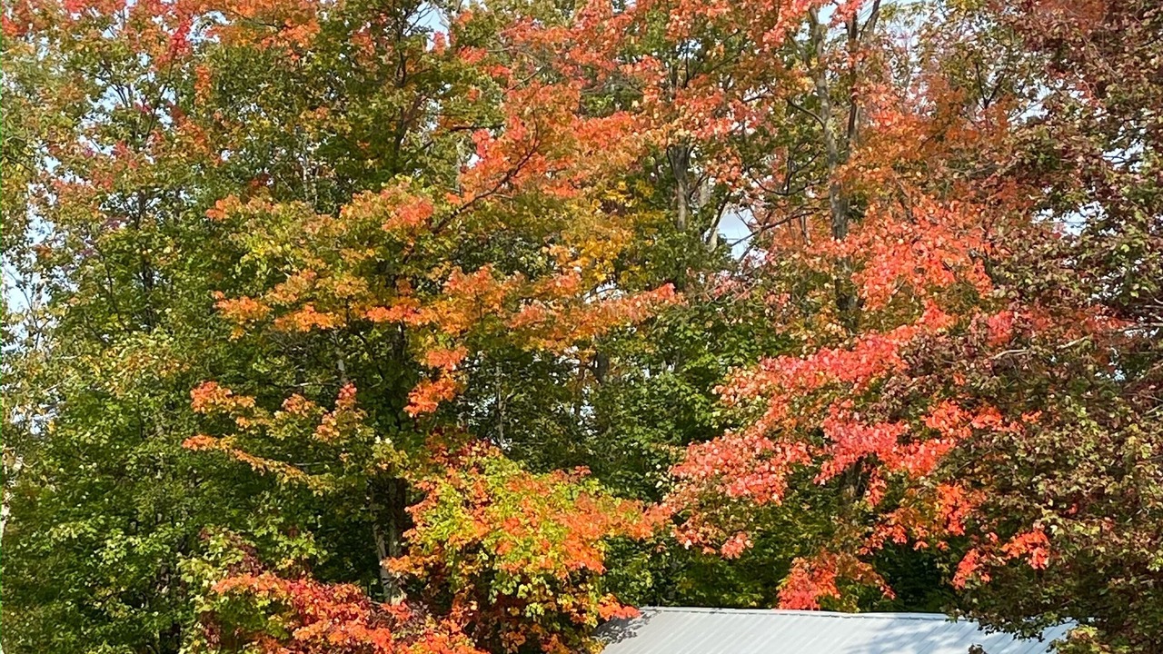 Photo of Outdoor in St. Albans Historic District