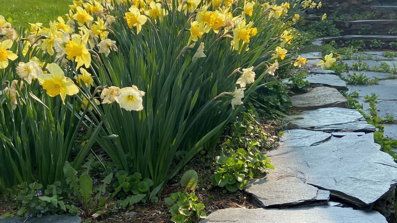 Photo of Outdoor in St. Albans Historic District