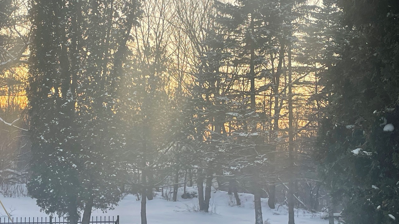 Photo of Outdoor in St. Albans Historic District