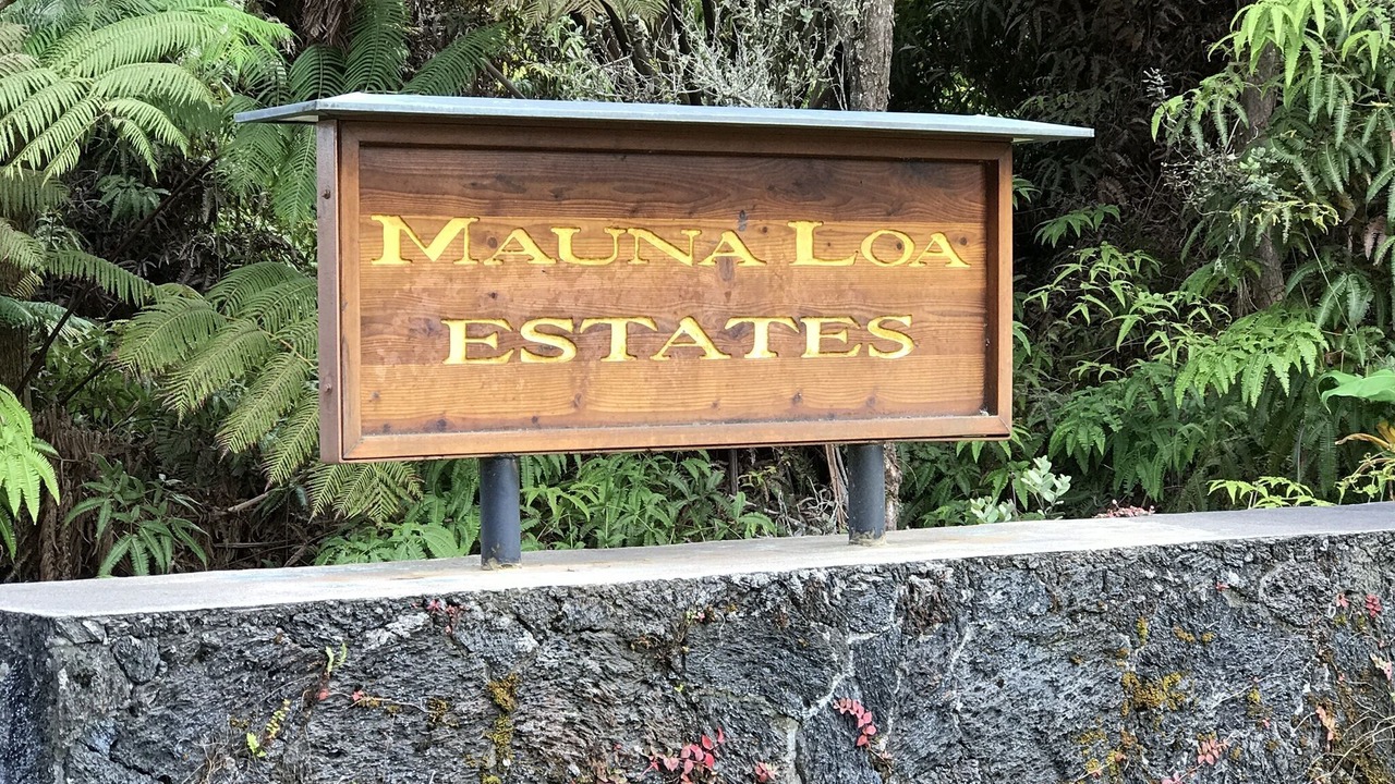 Photo of Outdoor in Volcano