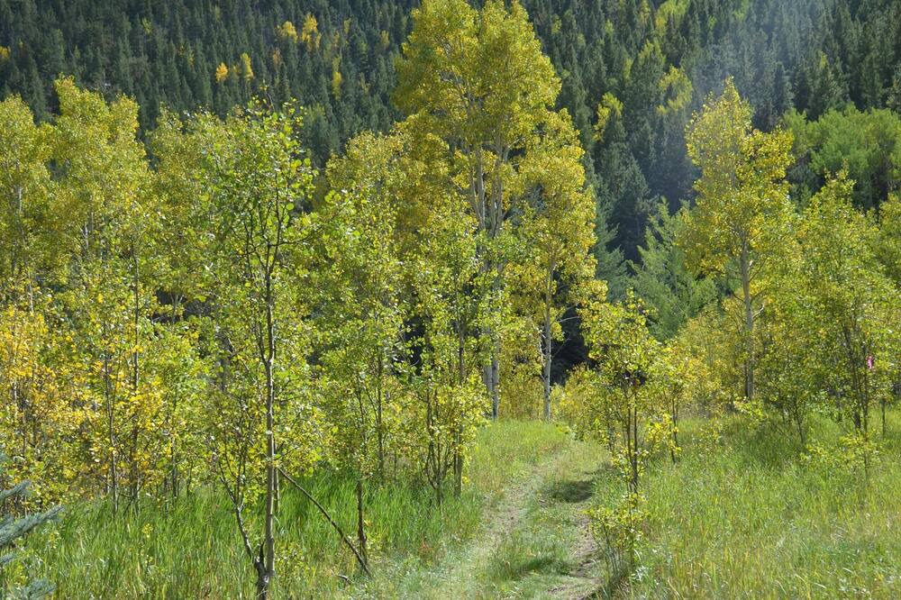 Photo of Outdoor in Idaho Springs