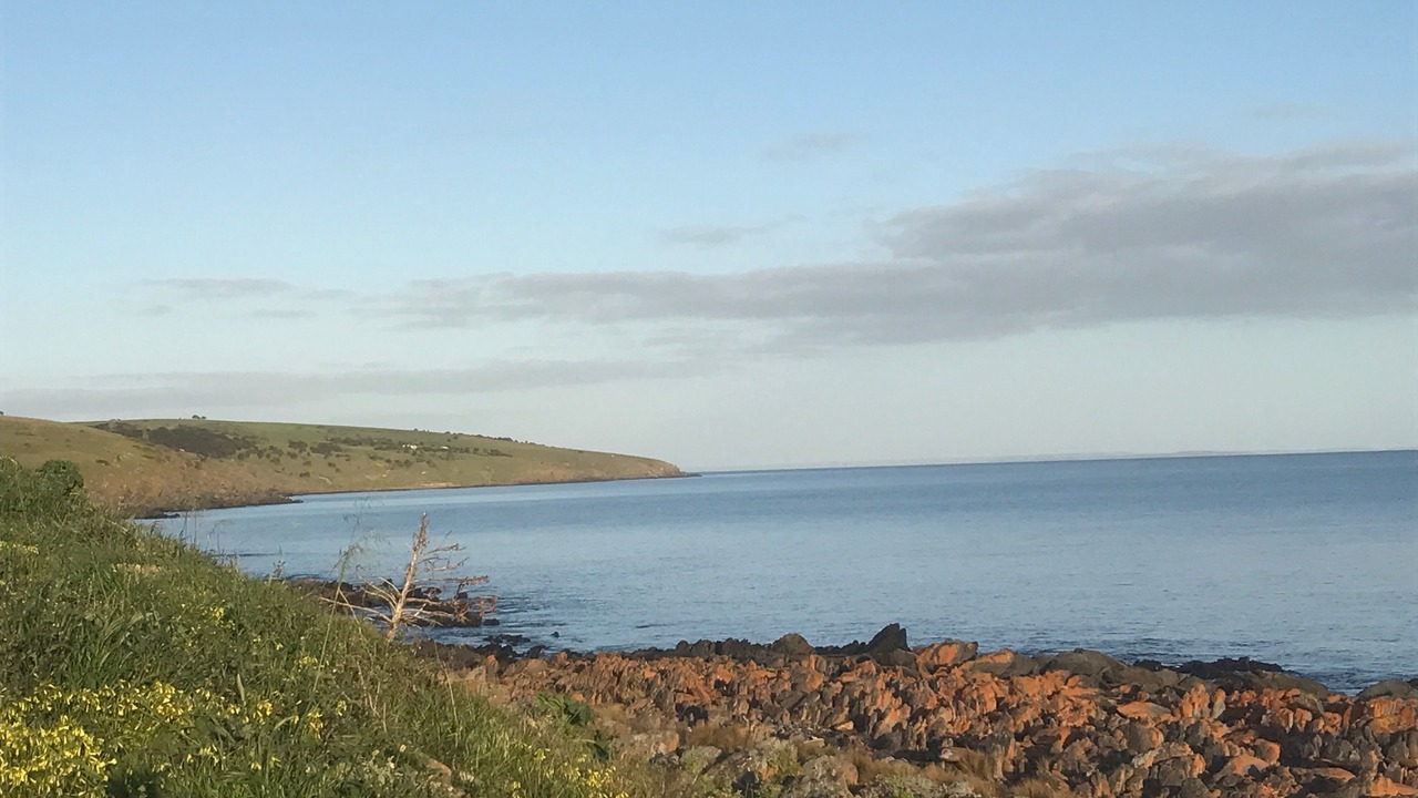 Photo of Others in Penneshaw