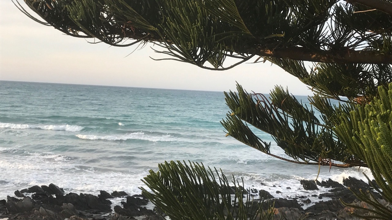 Photo of Others in Penneshaw