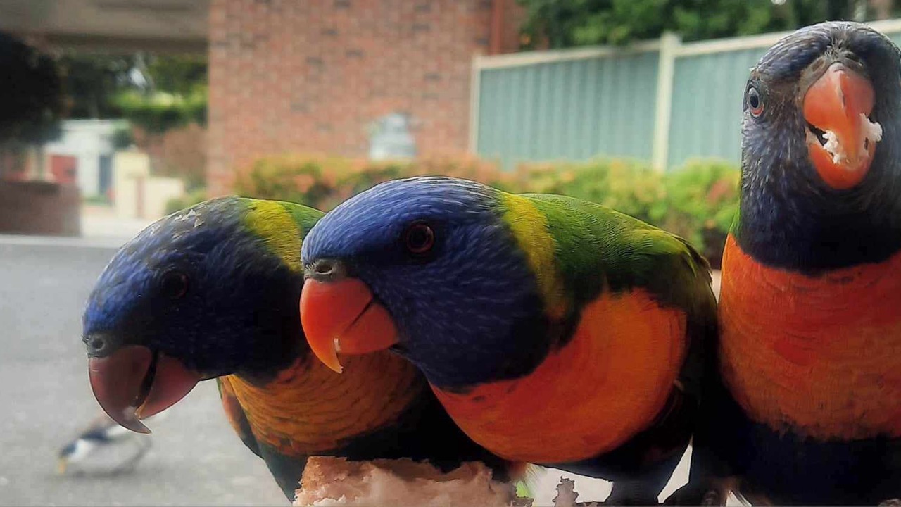 Photo of Outdoor in Cowes