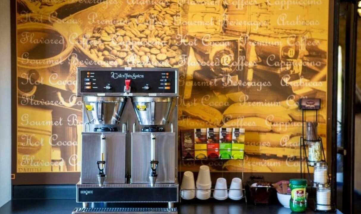 Photo of Others in Salmon