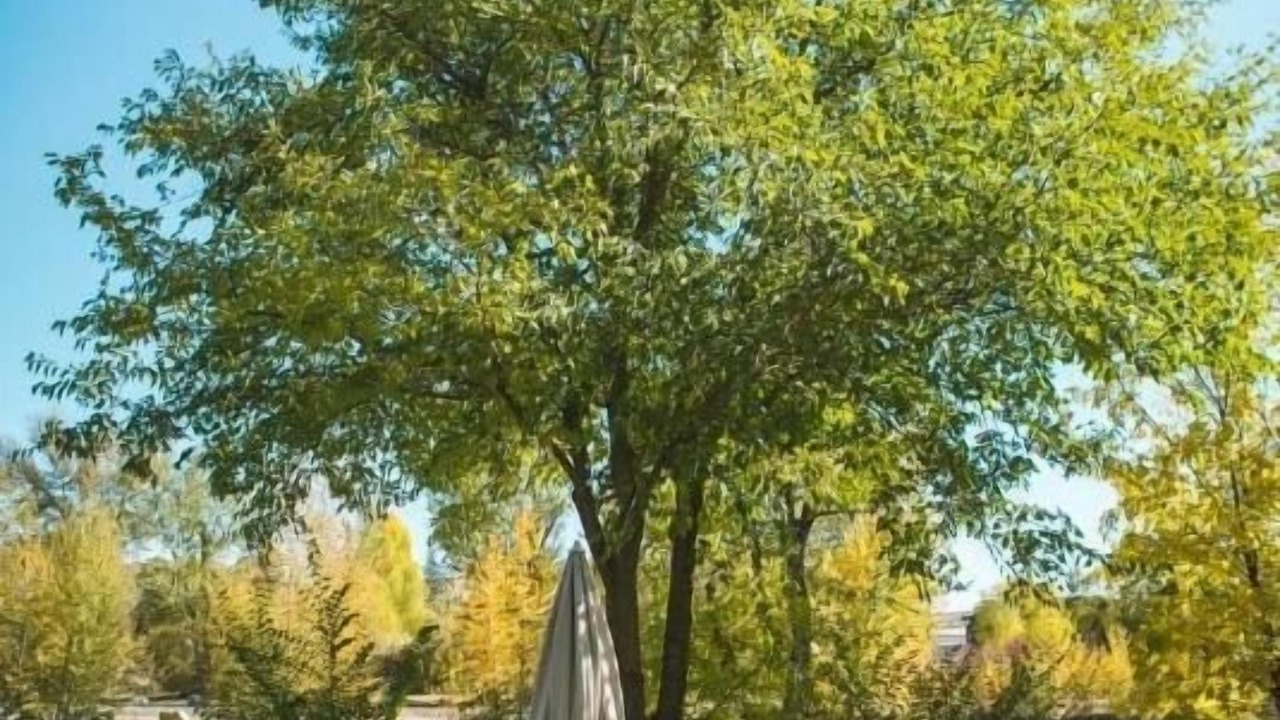 Photo of Outdoor in Salmon