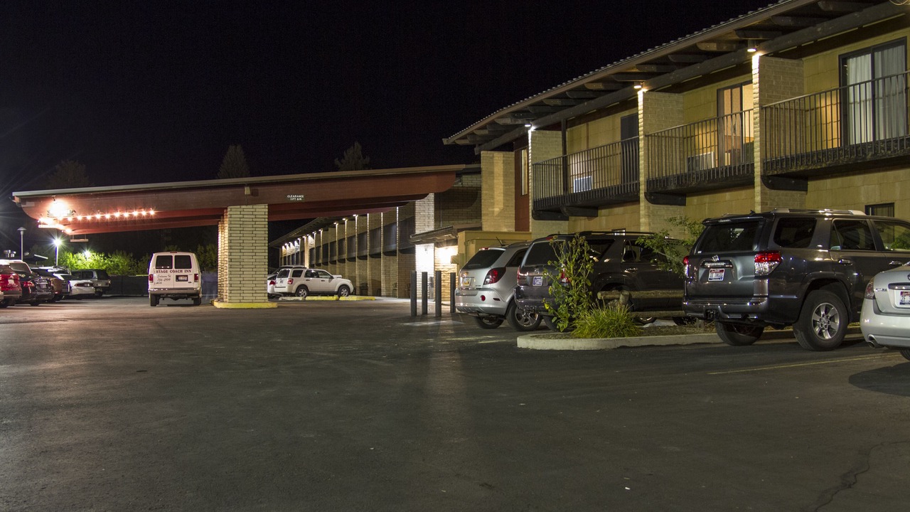 Photo of Others in Salmon