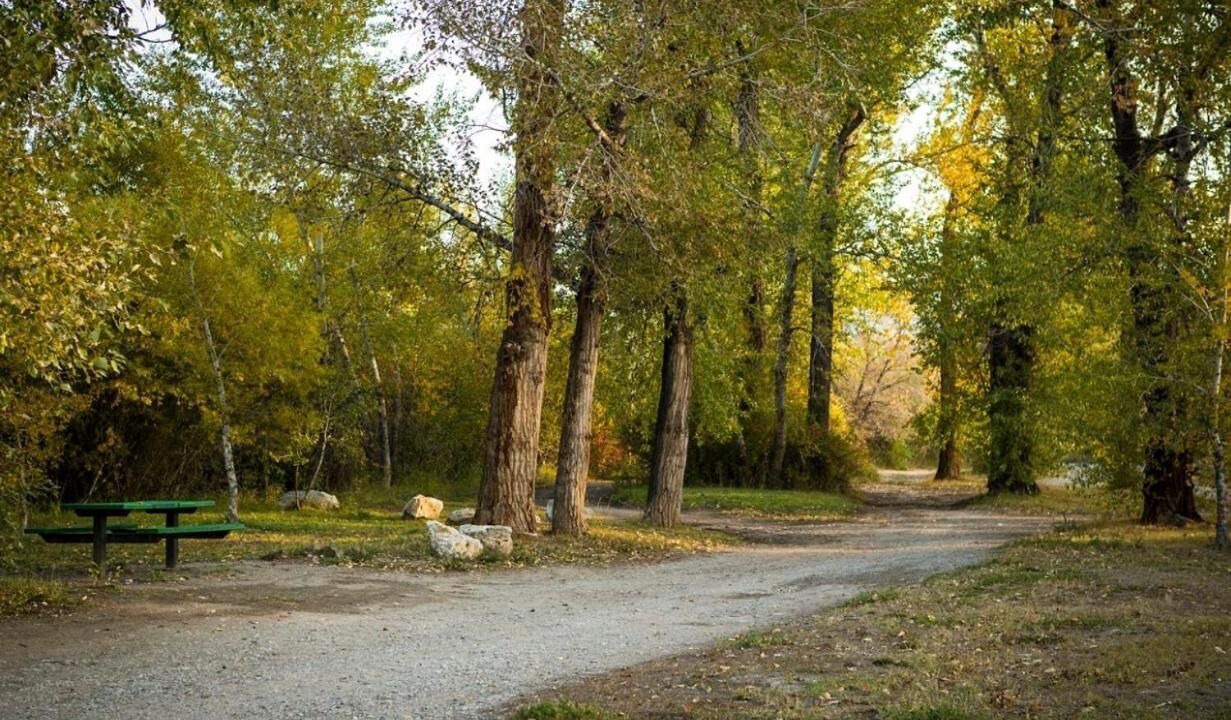 Photo of Outdoor in Salmon