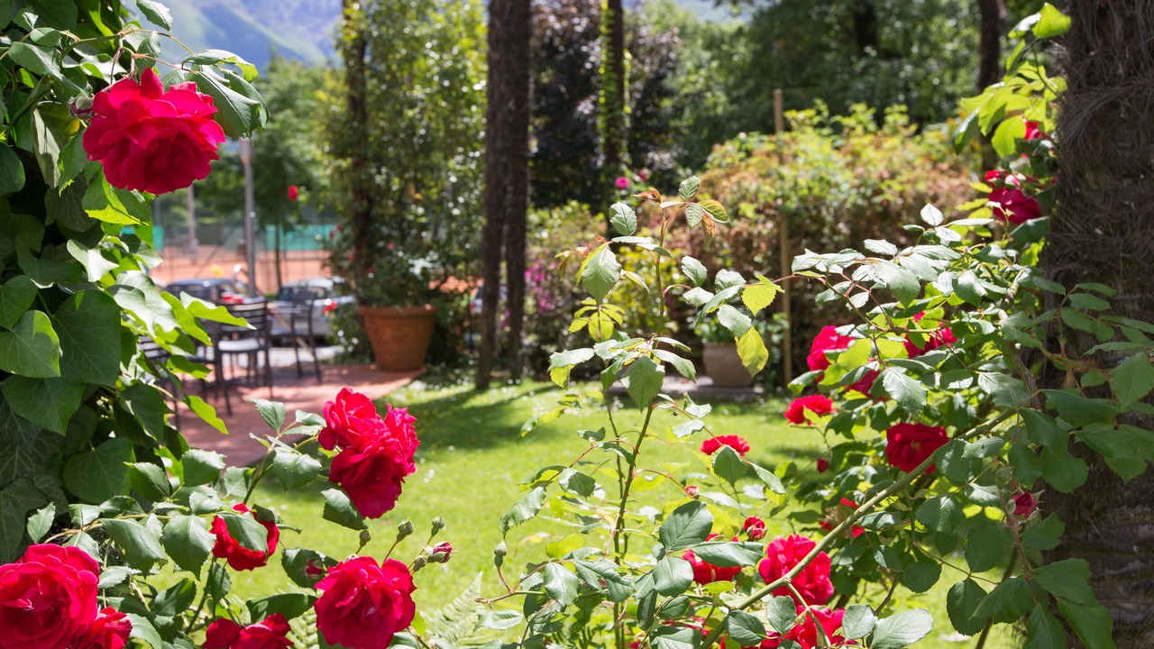 Photo of Outdoor in Locarno