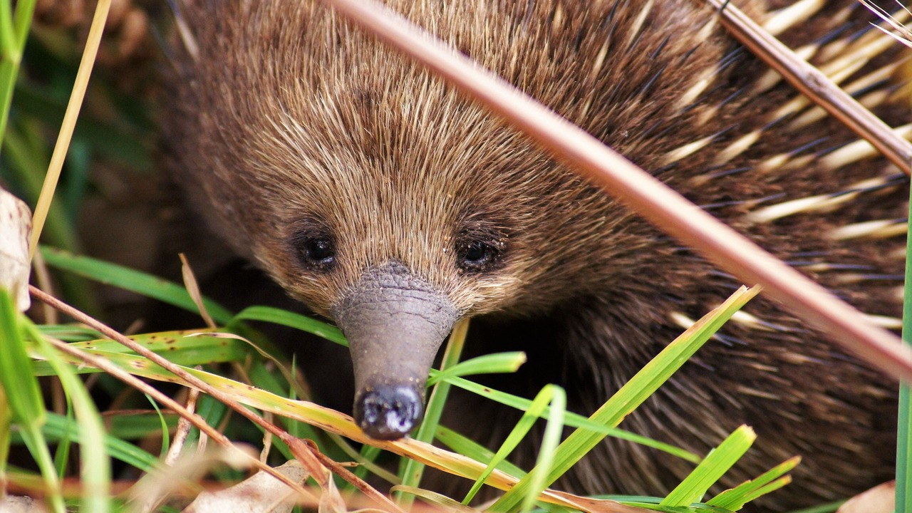 Photo of Bathroom in Cape Otway