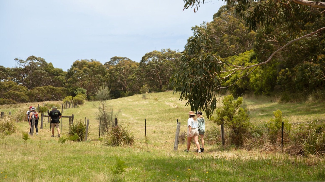 Photo of Outdoor in Cape Otway
